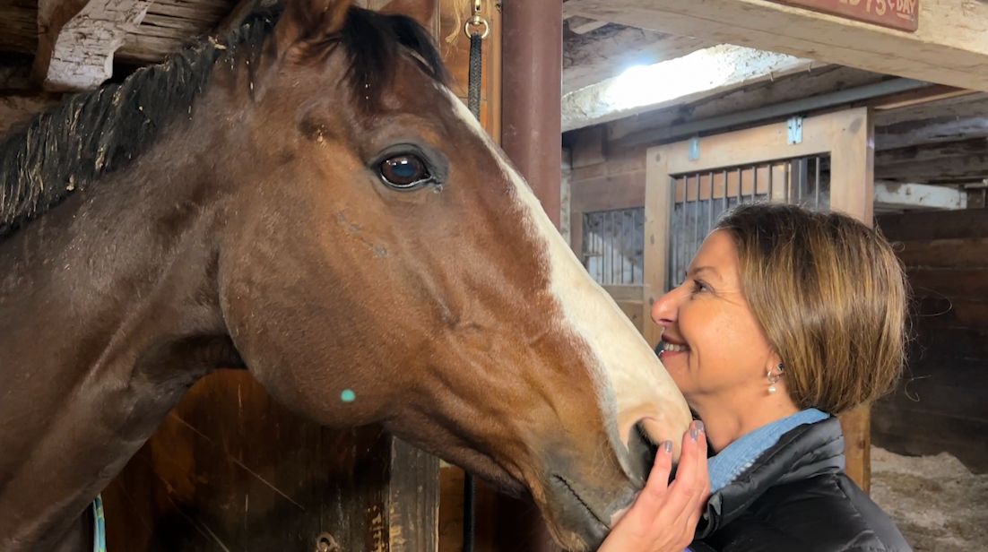 Therapist brings horse therapy to mental health hospitals